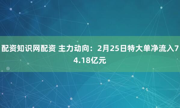 配资知识网配资 主力动向:2月25日特大单净流入74.18亿元