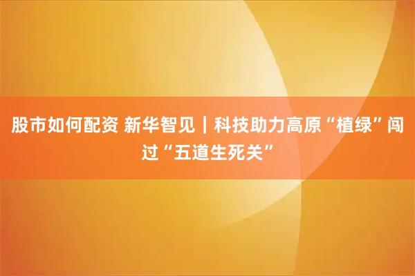 股市如何配资 新华智见|科技助力高原“植绿”闯过“五道生死关”