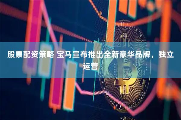 股票配资策略 宝马宣布推出全新豪华品牌,独立运营